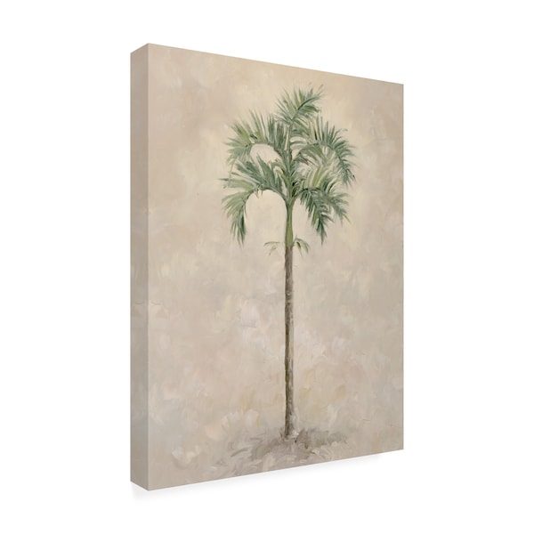 Debra Lake 'Palm Tree 4' Canvas Art,24x32